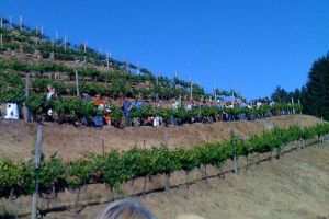 Devils Gulch Ranch photo 3