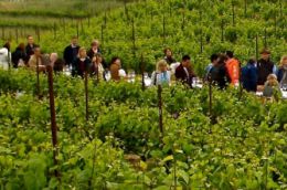 Outstanding in the Field Outstanding in the Field